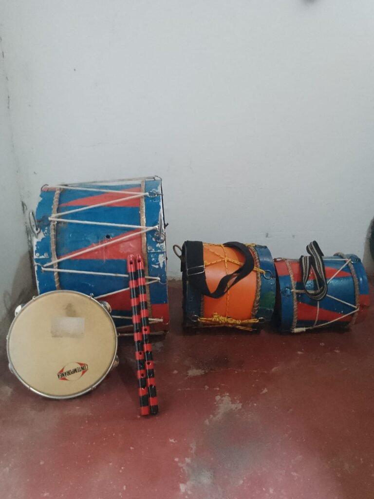 🎵 Instrumentos Musicais à Venda – Preços Individuais