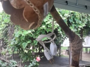 🌵 Abajur Caatingueiro