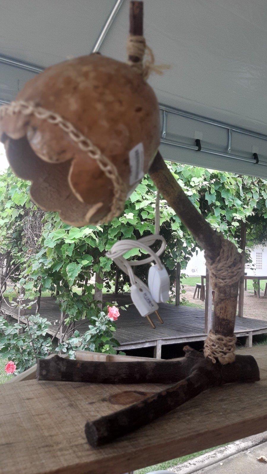 🌵 Abajur Caatingueiro