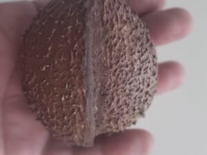 🥁  Chuá – Instrumento Percussivo em Ipê Veludo