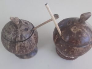 🌰 Farinheiras de Casca de Côco R$ 50,00 cada