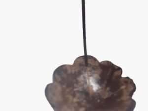 🔥 Incensário de Casca de Côco