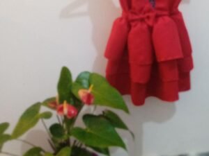 Vestido Infantil Vermelho Camadas